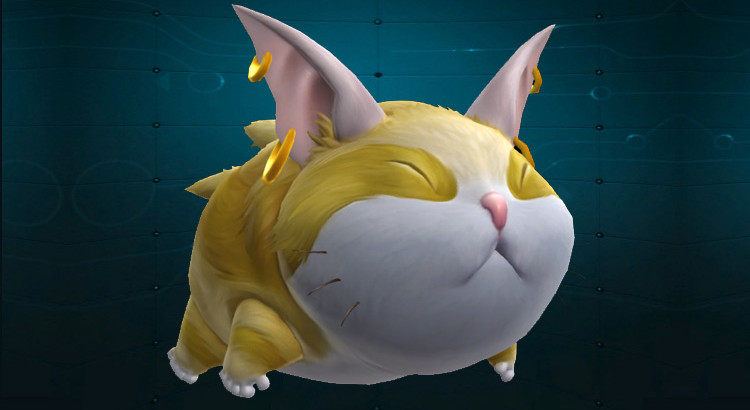 Snarfelynx