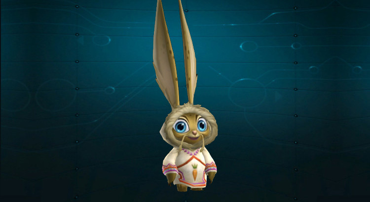 Lopp Hunter